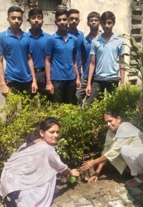 Panipat News/Plantation program organized in AV Public School 