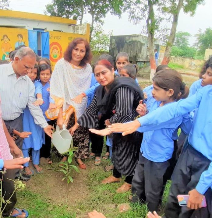 Panipat News/Plantation is necessary for environmental protection: Kumari Ranjita Kaushik
