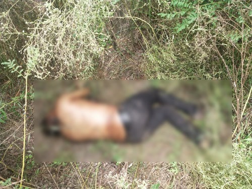 The Dead Body Of The Youth Was Thrown In The Canal After killing