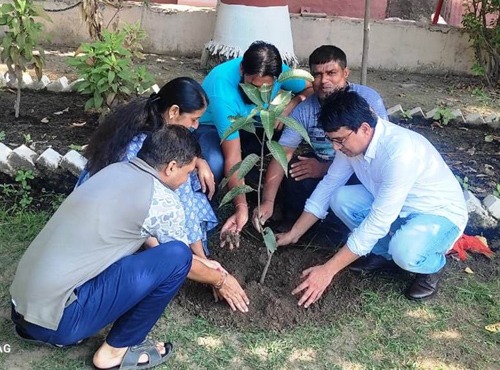 Plantation Of saplings On International Youth Day In Arya College