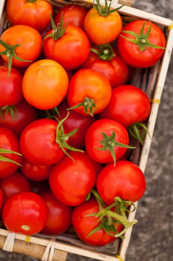 Vegetables become expensive tomatoes become red