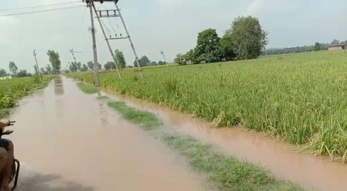 Crops were destroyed by 22 thousand cusecs of water in Shahbad Markanda river
