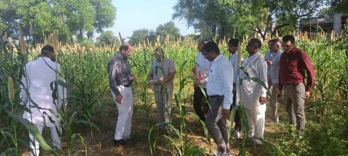 DC inspected Girdawari of Kharif crop