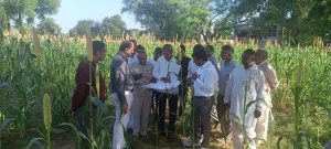 DC inspected Girdawari of Kharif crop