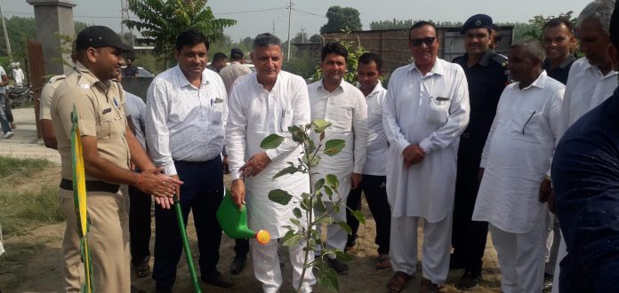 Education Minister Planted Saplings In Yoga Gymnasiums