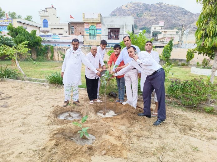 A Different Importance of Peepal, Banyan, Neem Tree in human life span