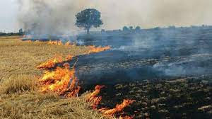 Strict action by the district administration on burning crop residues