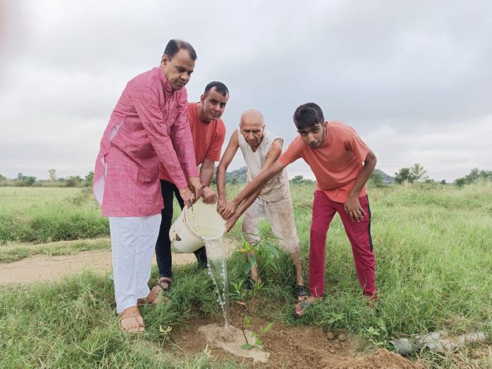On the day of Sharad Purnima, Rudraksha saplings related to religious faith were planted