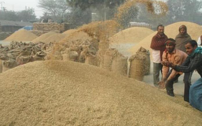 Agency should not be negligent in paddy procurement work