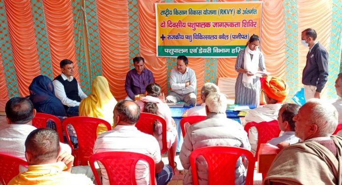 Panipat News/Organizing a two-day cattle rearing awareness camp under the National Farmer Development Scheme
