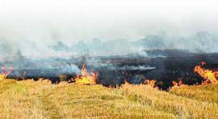 Panipat News/Case will be registered against those who burn stubble