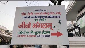 Free Treatment Of Birds