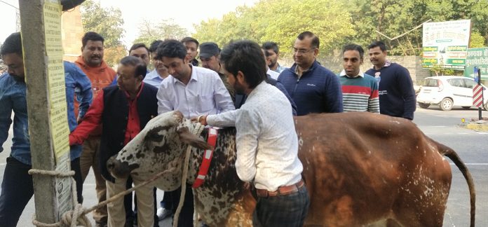 Deputy Commissioner Partha Gupta started the campaign to put reflector tape on destitute animals