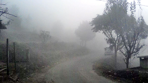 Fog in Himachal Pradesh Districts