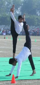 Panipat News/Annual sports festival celebrated with pomp in DAV Public School Thermal Colony