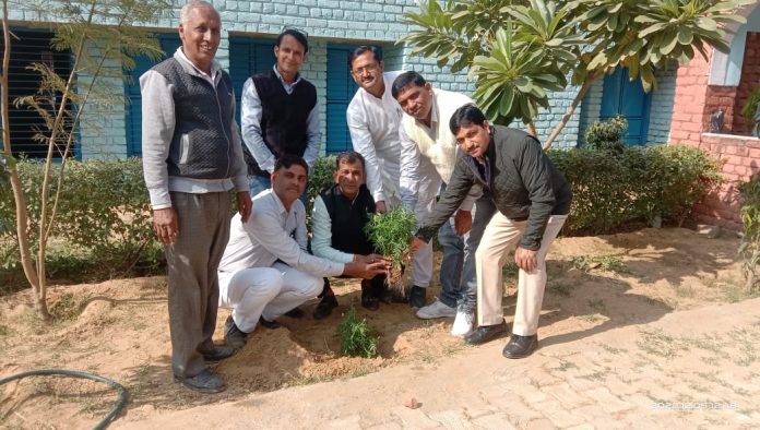 Planted saplings on the 25th anniversary of the marriage of the District Deputy Commissioner