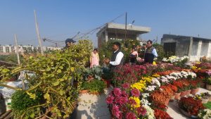 Farming started on the roof of the house