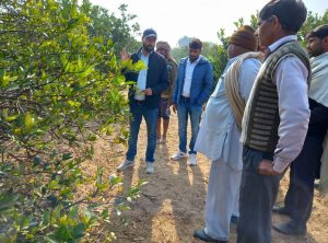 Horticulture awareness program organized in Mandola