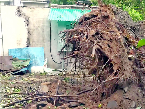 Rain due to Cyclone