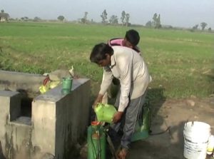 Increasing speed of Mandusi plants in wheat field increased farmers' concerns