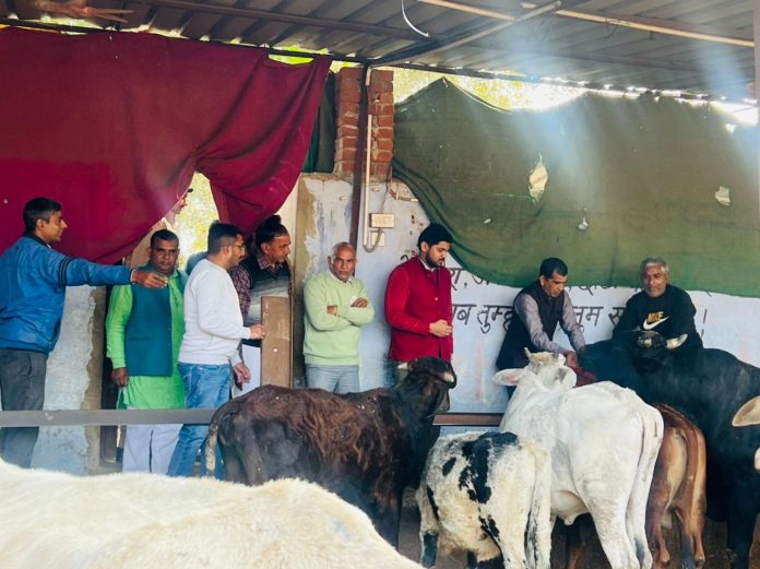 Harshit Kumar IAS said that in house where there is a cow deities reside there