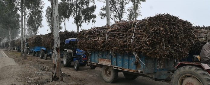 Due to increase in sugarcane rate crushing work started in Karnal sugar mill