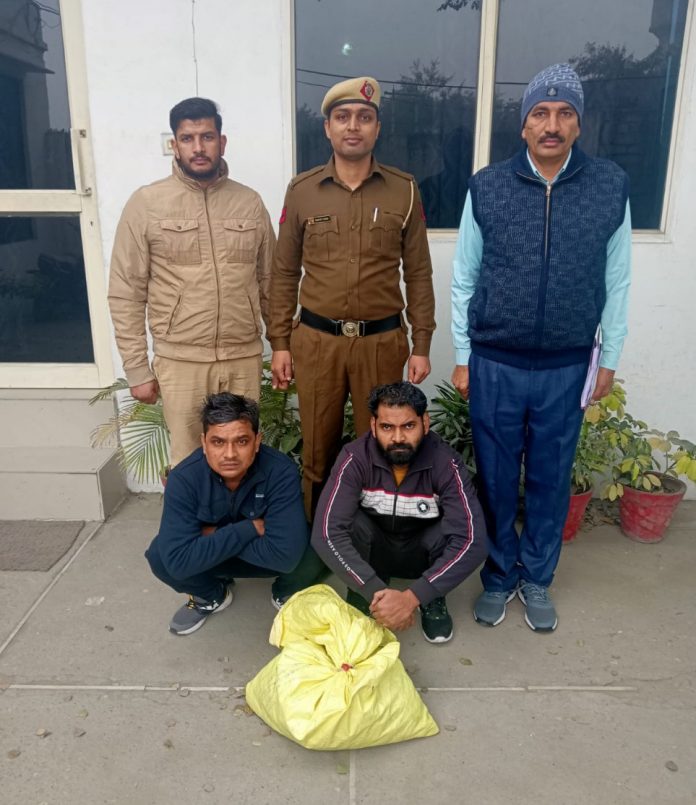 Panipat News/Drug smuggler arrested with 4 kg 500 grams of Ganja leaves