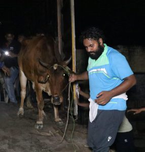 Panipat News/Kanha Cow Protection Treatment and Welfare Institute Samalkha (Panipat)