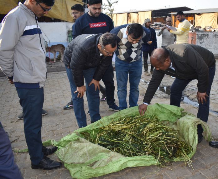 45 cows died after eating poisonous fodder in Karnal