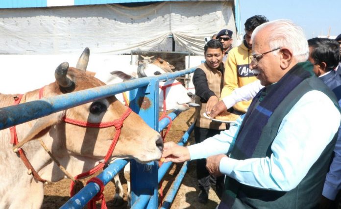 Panipat News/Government is taking steps to make Gaushalas self-sufficient: CM Manohar Lal