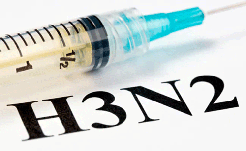 H3N2 Influenza Updation