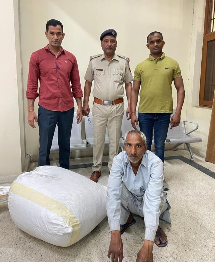 Panipat News/Drug smuggler arrested with 45 kg 400 grams of ganja leaves in Panipat