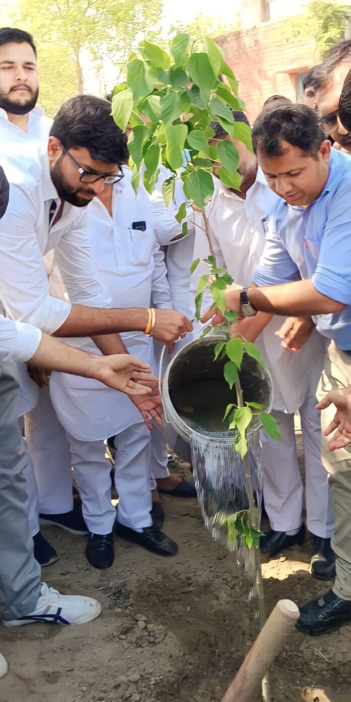 Panipat News/Digvijay Singh Chautala planted saplings in Herbal Botanical Garden 