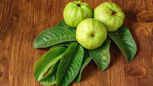 Benefits of Guava