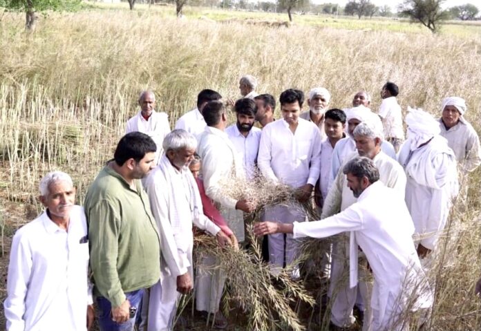 Farmers' crop completely ruined