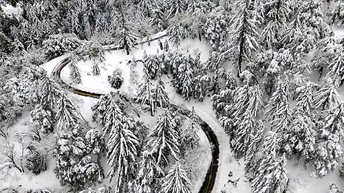 Snow Storm in California