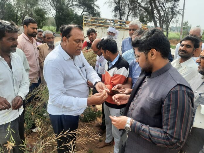 SDM inspected the opportunity of e-Girdawari of the crop