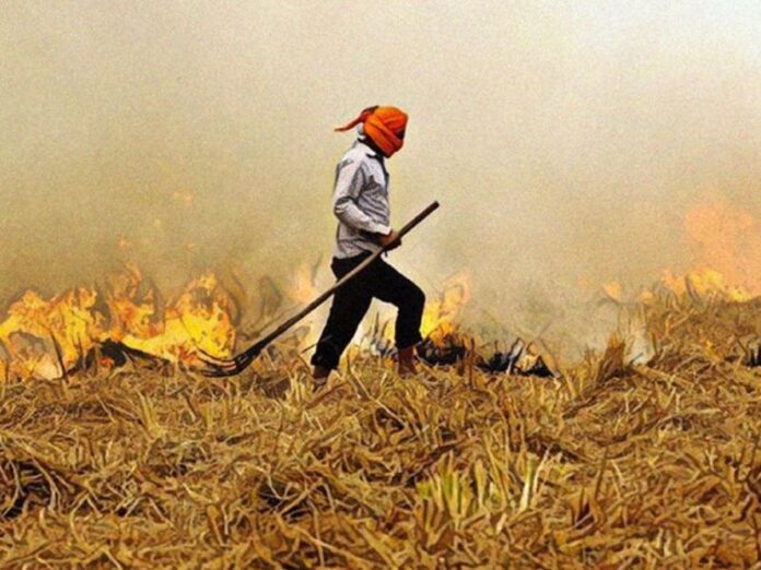 Panipat News/Do not burn the straw left over after harvesting the wheat crop.