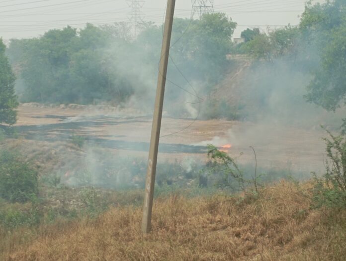 Panipat News/Do Not Burn Wheat Residues In The Fields