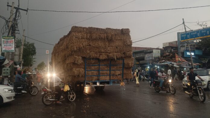 Panipat News/Even after the instructions of the District Deputy Commissioner the supply of dry fodder is being done in the nearby states.