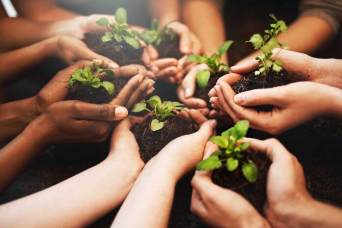 Mirage Group pledges one crore tree plantation campaign