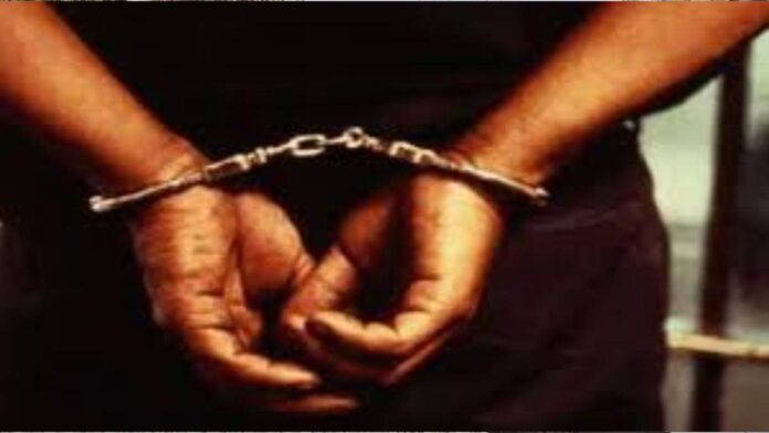 Panipat News/Drug Smuggler Sentenced to 3 Years 