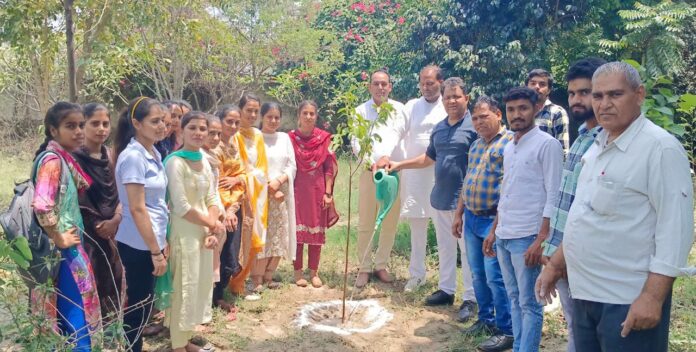 Panipat News/Plantation At Deshbandhu Gupta Government College