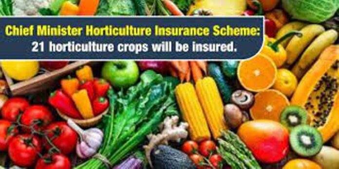 Panipat News/Chief Minister Horticulture Insurance Scheme
