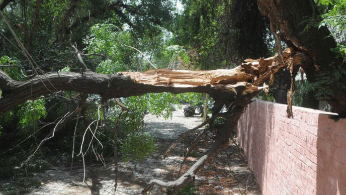 Strong Dust Storm Impact