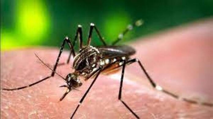 Panipat News/Rates Fixed For the Test of Dengue and Chikungunya