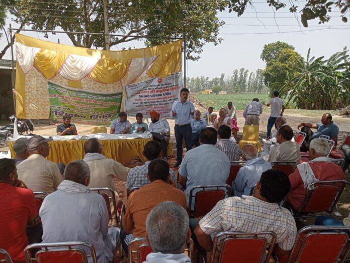 Panipat News-Nature Farming of Sugarcane