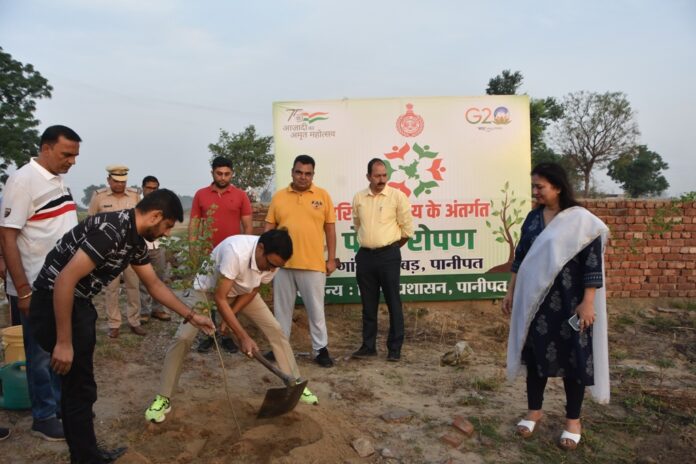 Panipat News/Plantation Campaign 