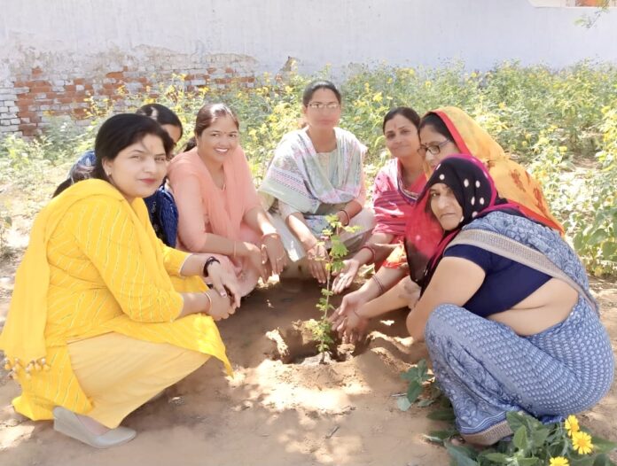 पौधारोपण करते सुपरवाइजर व अन्य महिलाएं।