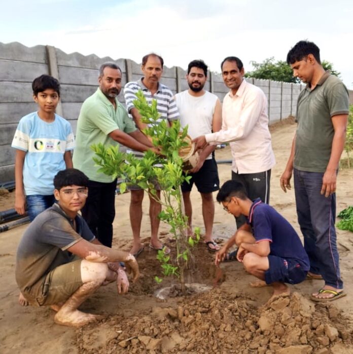 पौधारोपण करते प्रयास श्री बालाजी संस्था से जुड़े सदस्य।